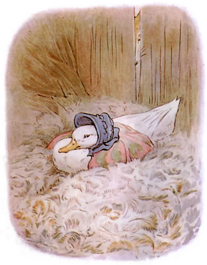 羽毛でいっぱいの小屋の中