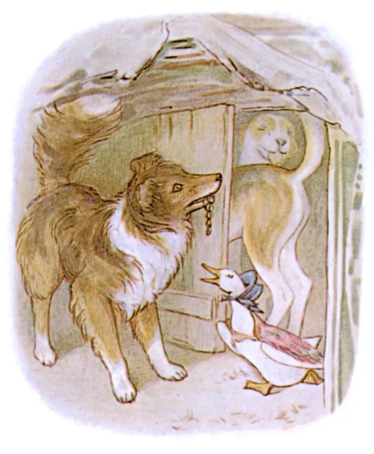 小屋にとびこむ子犬たち