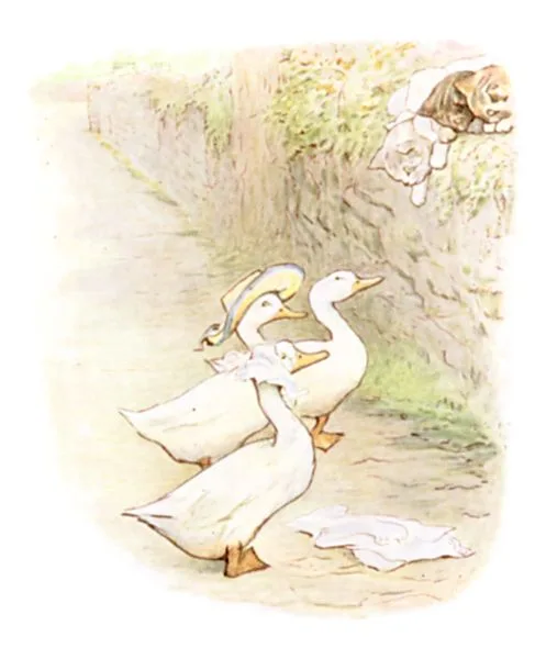 ぼうしをかぶるあひるたち